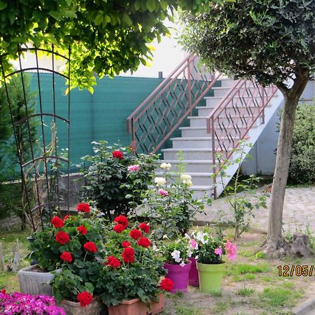 5 Palme Bed & Breakfast Terzo d' Aquileia Exterior foto