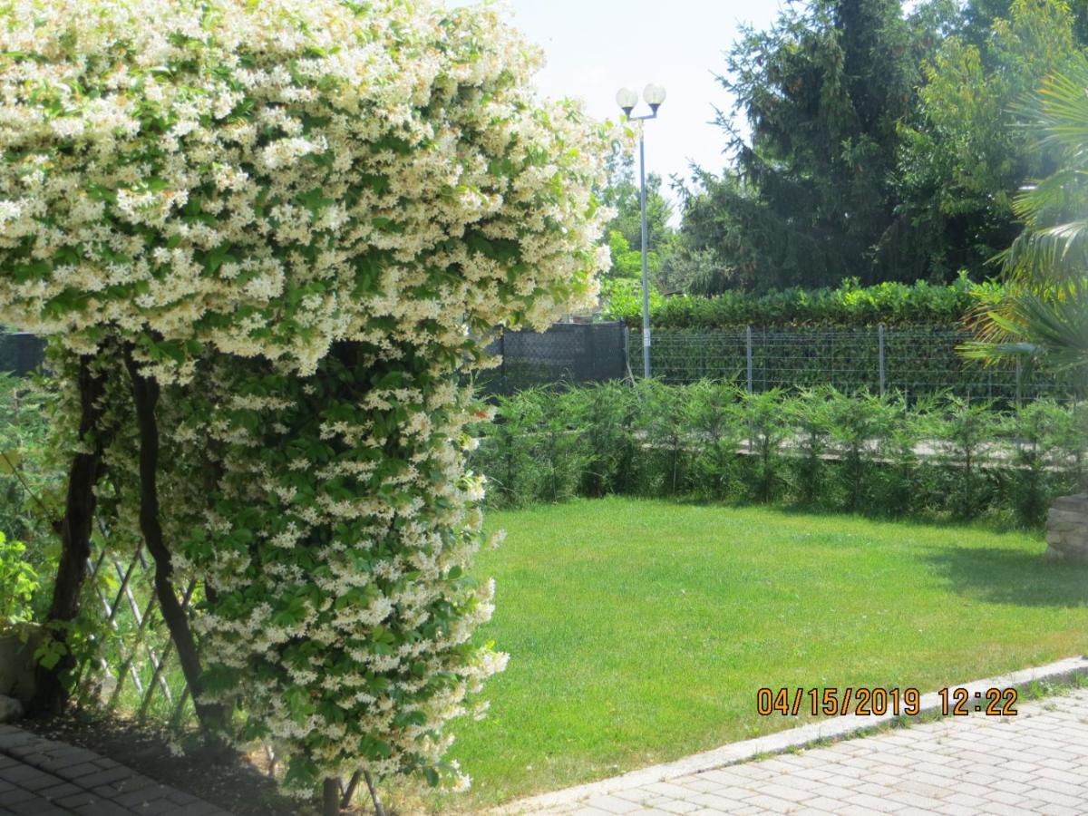 5 Palme Bed & Breakfast Terzo d' Aquileia Exterior foto