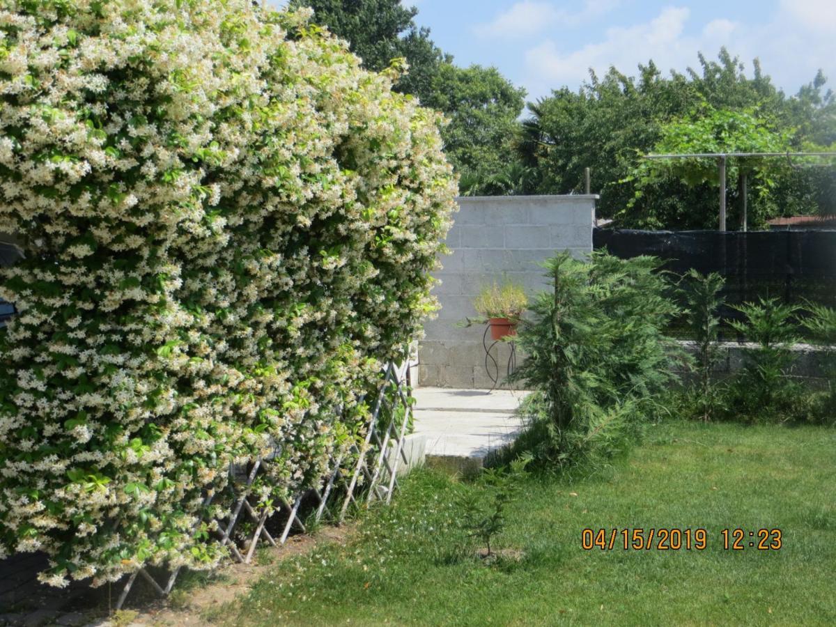 5 Palme Bed & Breakfast Terzo d' Aquileia Exterior foto