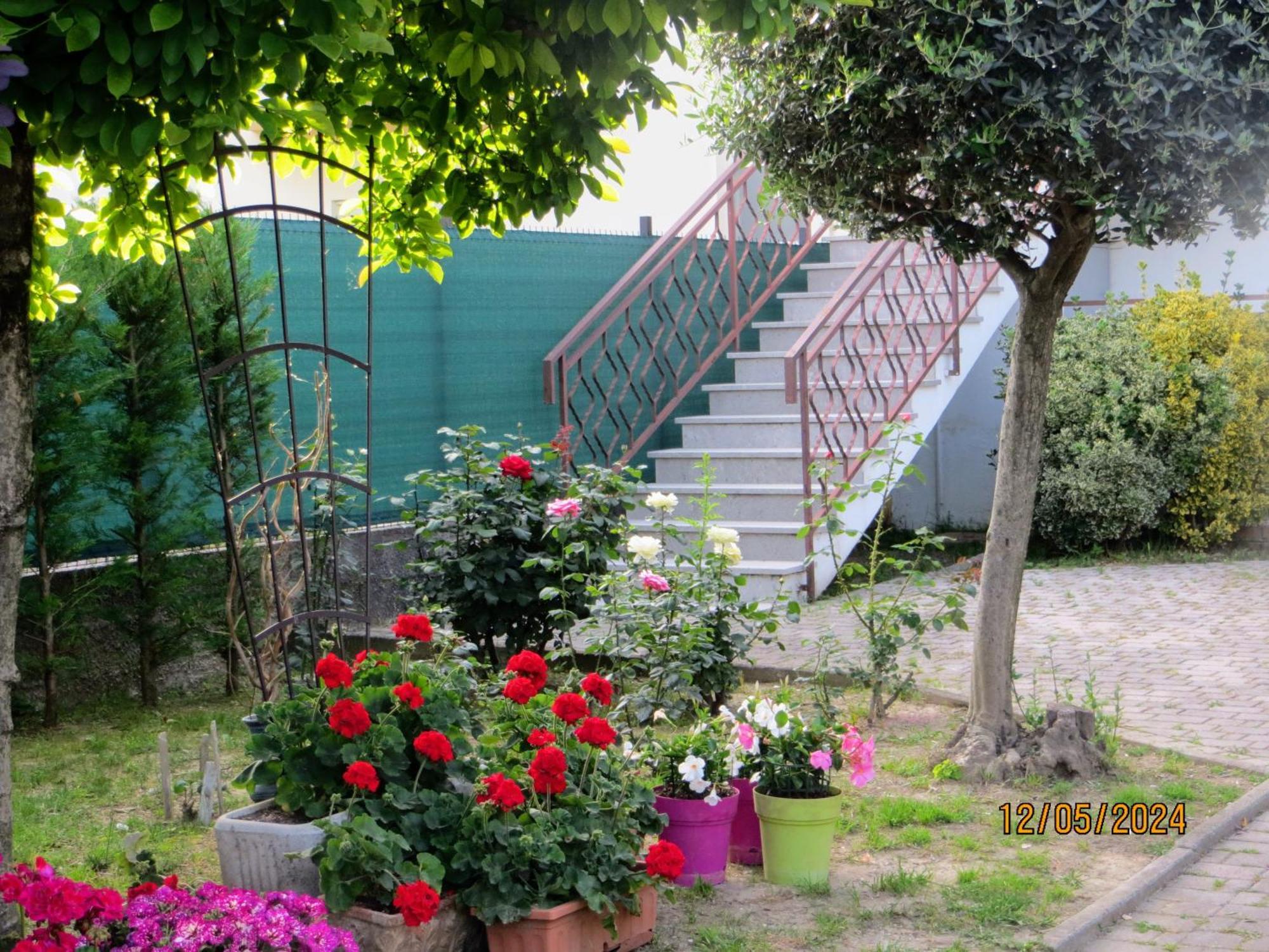 5 Palme Bed & Breakfast Terzo d' Aquileia Exterior foto