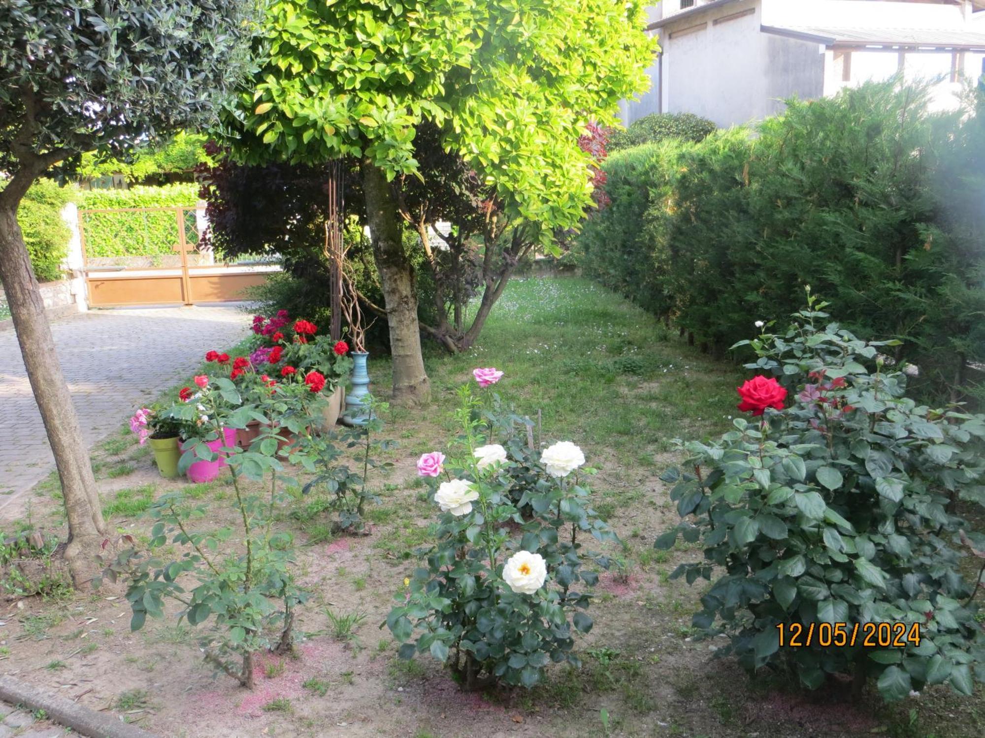 5 Palme Bed & Breakfast Terzo d' Aquileia Exterior foto
