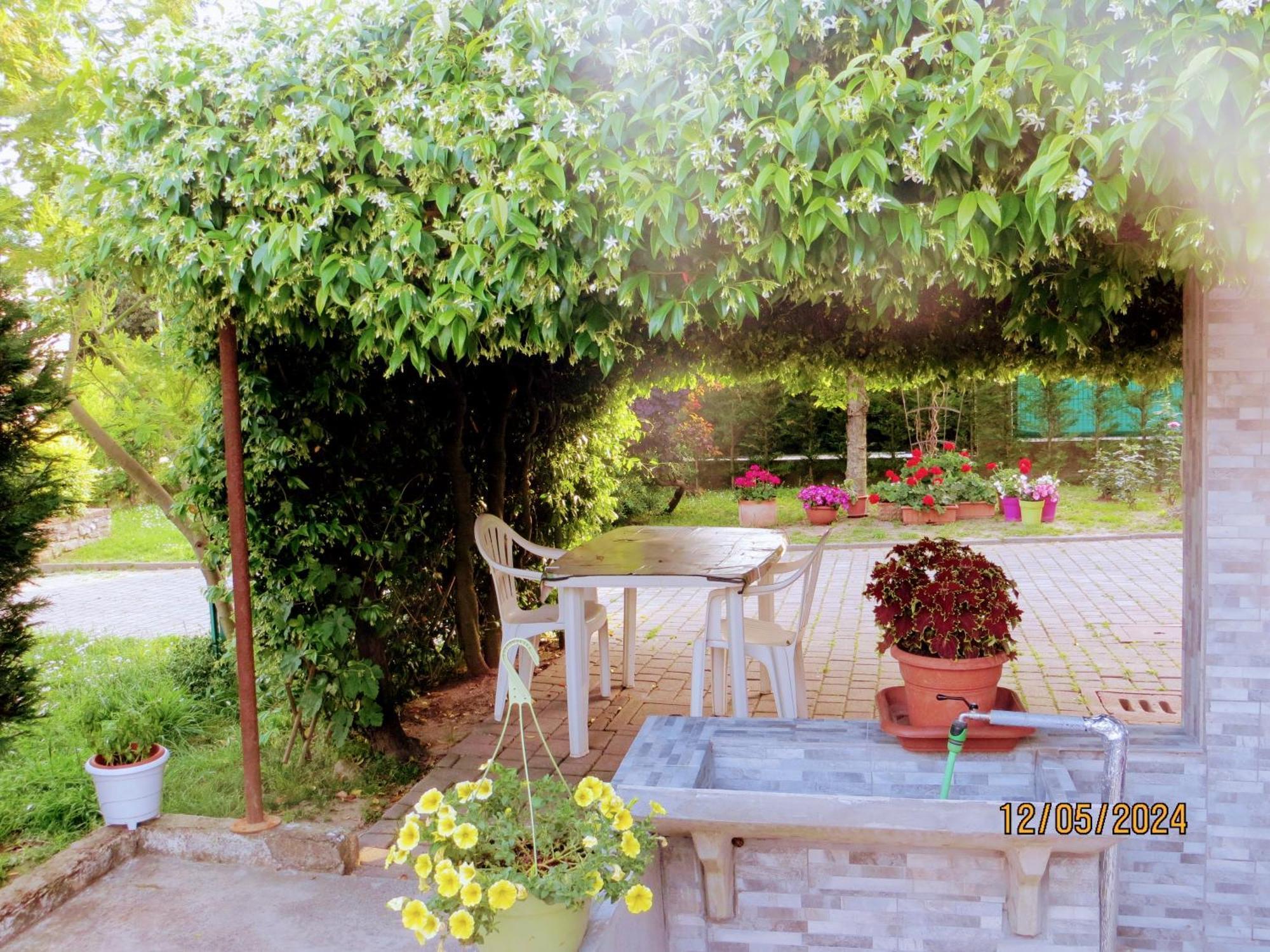 5 Palme Bed & Breakfast Terzo d' Aquileia Exterior foto